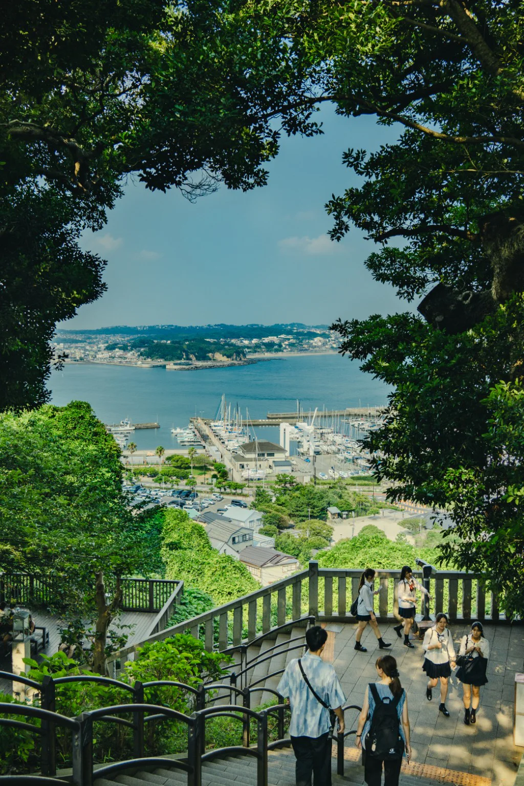 A shaded hillside path opening toward a bright bay